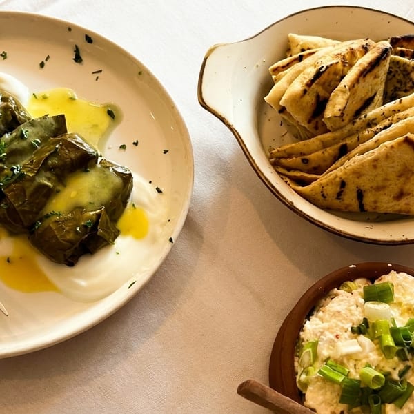 Dolmades with sauce, grilled pita bread, and a dip with green onions on a white tablecloth.